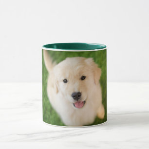 Golden Retriever Welpe im Gras Tasse