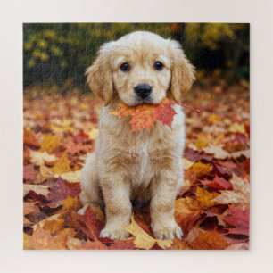 Golden Retriever Welpe im Herbstlaub