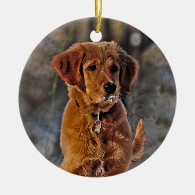 Golden Retriever Welpe im Schnee Keramik Ornament (Vorne)