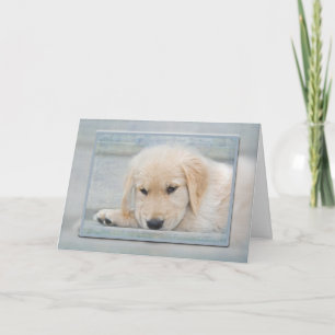 Golden Retriever Welpe in blau Karte