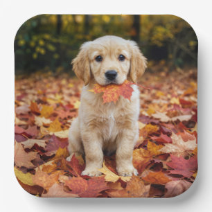 Golden Retriever Welpe in Herbstlaub Pappteller