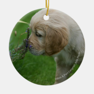 Golden retriever-Welpe Keramikornament
