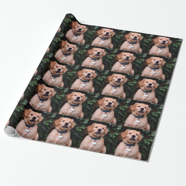 Golden Retriever Welpe Labrador Hund Geschenkpapier (Ungerollt)