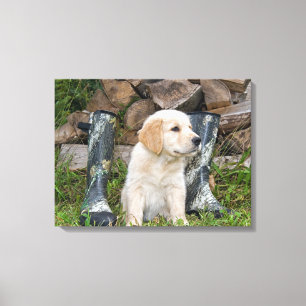 Golden-Retriever-Welpe mit Stiefeln Leinwanddruck