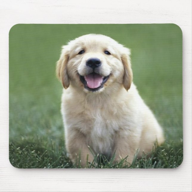 Golden retriever-Welpe Mousepad (Vorne)