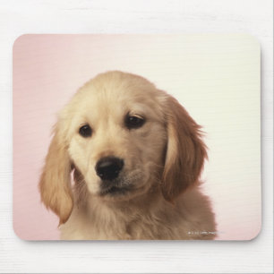 Golden retriever-Welpe Mousepad