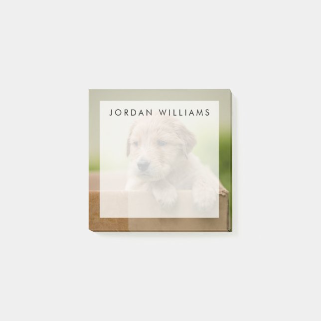 Golden Retriever Welpe Post-it Klebezettel (Vorderseite)
