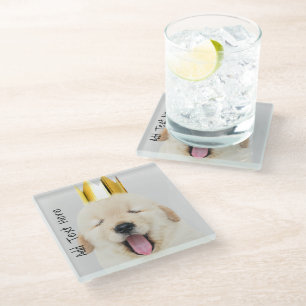 Golden Retriever Welpe Schlaflosigkeit in Goldkron Glasuntersetzer