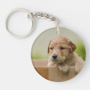 Golden Retriever Welpe Schlüsselanhänger