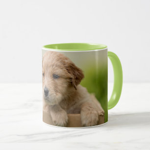 Golden Retriever Welpe Tasse