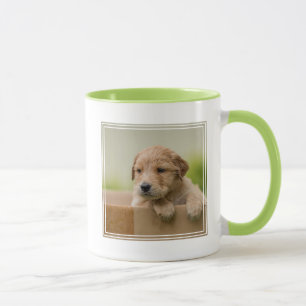 Golden Retriever Welpe Tasse