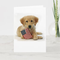 Golden retriever-Welpe und Flagge