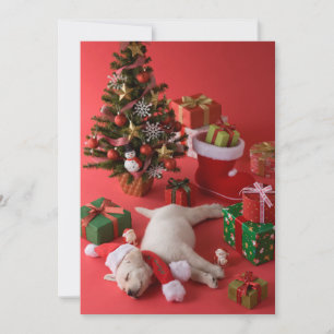 Golden retriever-Welpe und Weihnachten