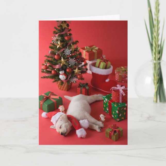 Golden retriever-Welpe und Weihnachten (Vorderseite)