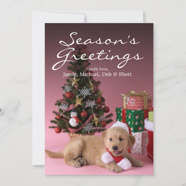 Golden retriever-Welpe und Weihnachten 3 (Vorderseite)