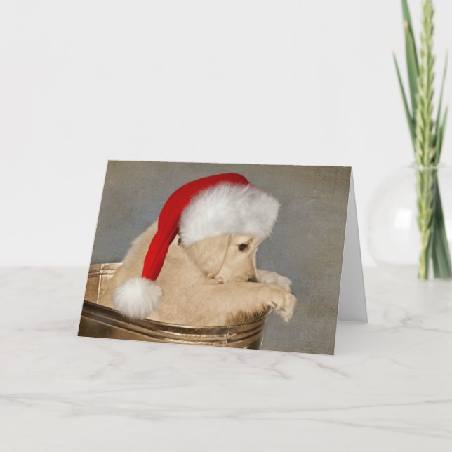 Golden Retriever Welpe Weihnachten Karte (Vorderseite)