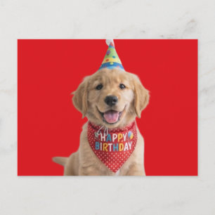 Golden Retriever Welpe wünscht alles Gute zum Gebu Postkarte