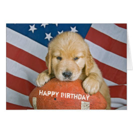 Golden Retriever Welpe zum Geburtstag auf Fußball