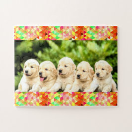 Golden Retriever Welpen, 30pcs, Kinder,