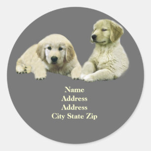 Golden retriever-Welpen-Adressen-Etikett Runder Aufkleber