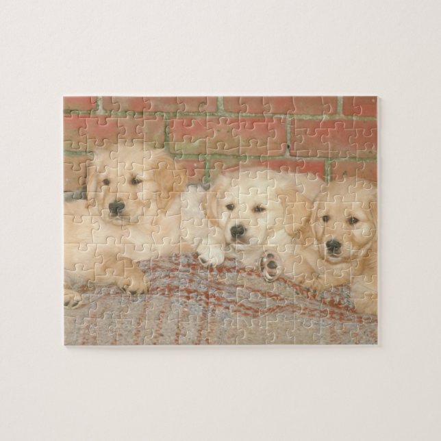 Golden retriever-Welpen-Hundepuzzlespiel (Horizontal)