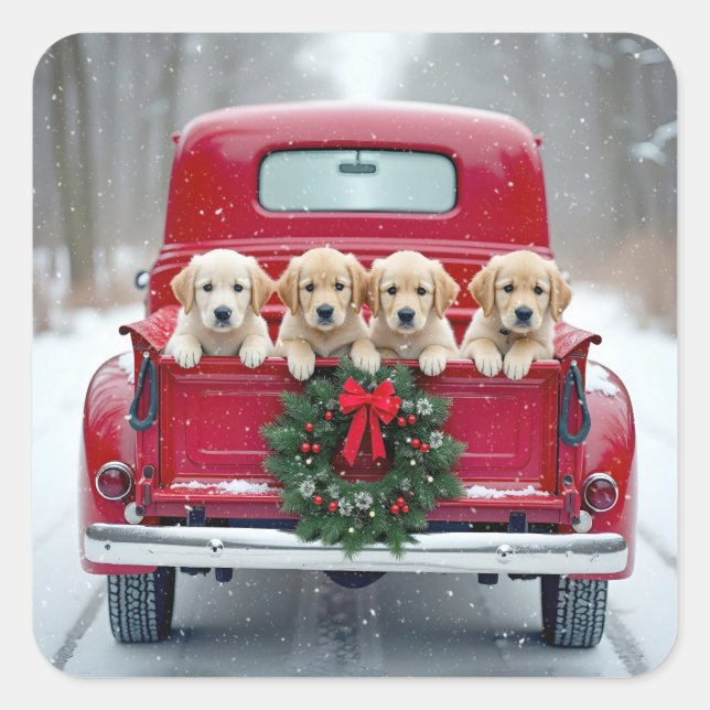 Golden Retriever Welpen im Weihnachtsverkehr Quadratischer Aufkleber (Vorderseite)