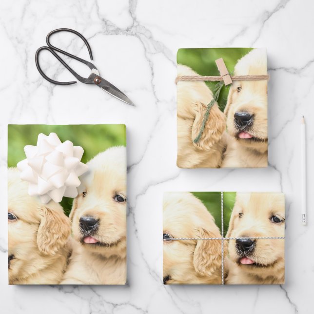 Golden Retriever Welpen in einer Reihe Geschenkpapier Set (Vorderseite)