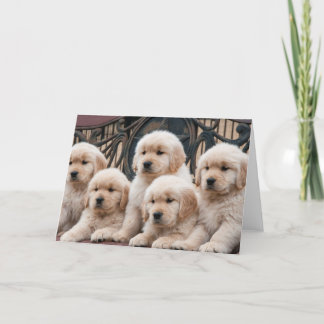 Golden Retriever Welpen Karte