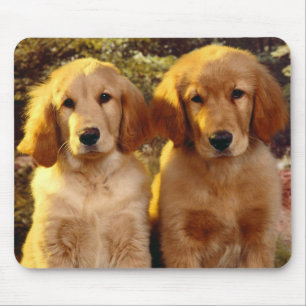 Golden Retriever Welpen Liebe Mousepad