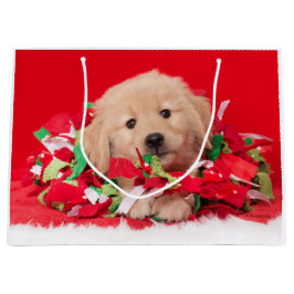 Golden retriever-Welpen-Spiel in der Große Geschenktüte