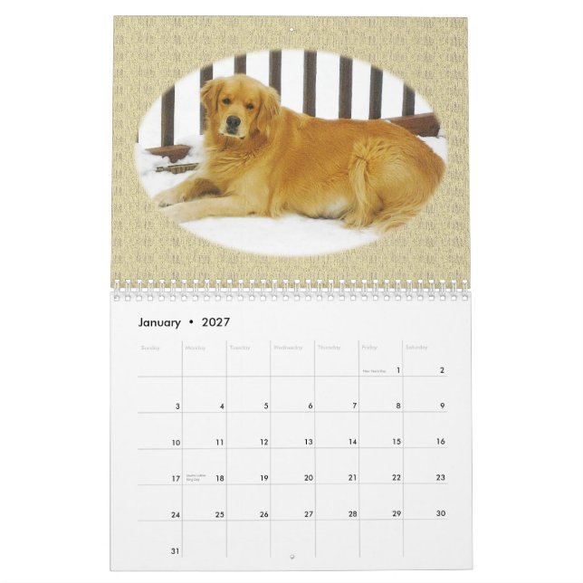Golden retriever-Welpen-Wandkalender Kalender (Jan 2027)