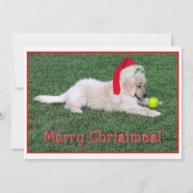 Golden retriever-Welpen-Weihnachtskarte flach Feiertagskarte (Vorderseite)