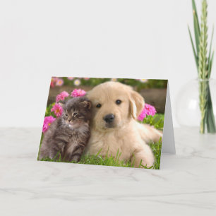 Golden Retriever Welpenhund & Katzenliebe Karte