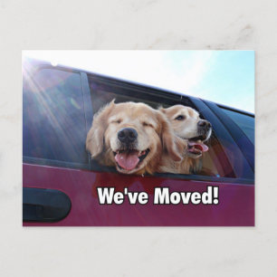 Golden Retriever Wir haben eine neue Adresse versc Ankündigungspostkarte