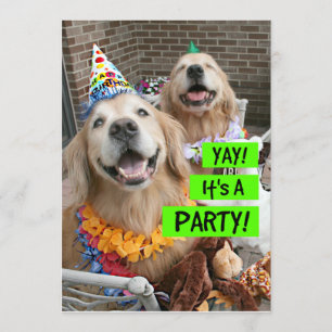 Golden Retriever Yay C'est une invitation de fête