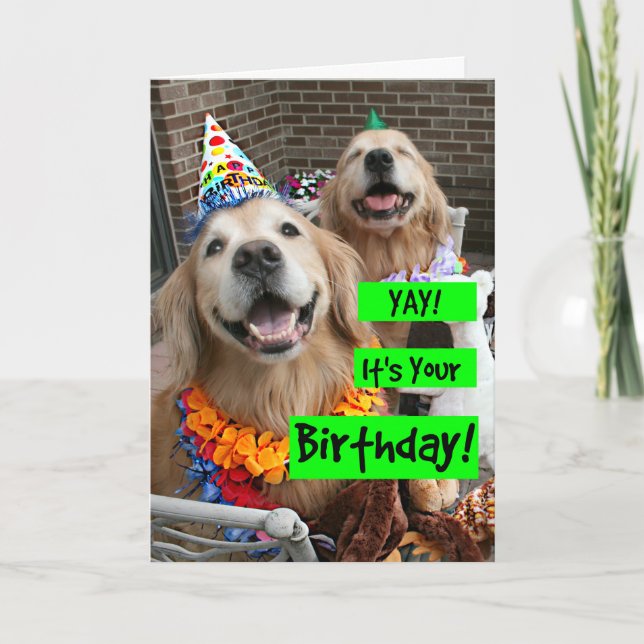 Golden Retriever Yay Es ist dein Geburtstag Karte (Vorderseite)