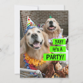 Golden Retriever Yay Es ist eine Party Einladung