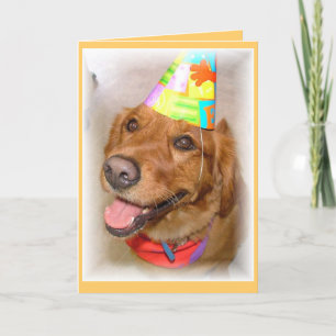 Golden retrievergeburtstagskarte karte