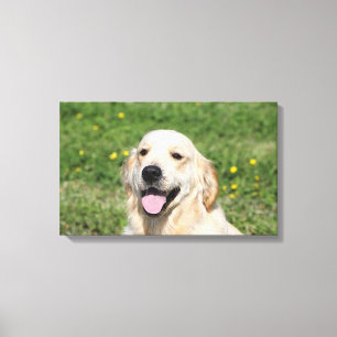 Golden retrieverHeadshot 1 Leinwanddruck