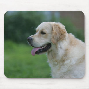Golden retrieverHeadshot 2 2 Mousepad