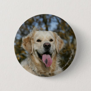 Golden retrieverHeadshot 3 Button