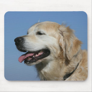 Golden retrieverHeadshot 4 Mousepad