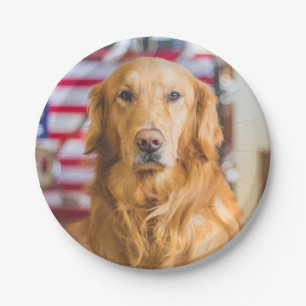 Golden retrieverhundeporträt pappteller