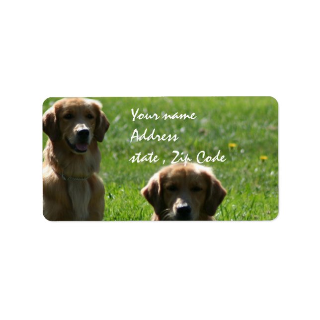 Golden Retrievers Adressaufkleber (Vorne)