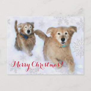 Golden Retrievers Dashing Thru der Schnee Weihnach Feiertagspostkarte
