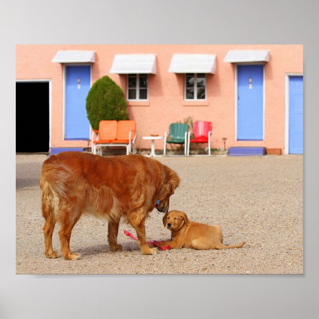 Golden Retrievers im Blue Swallow Motel Poster (Vorne)