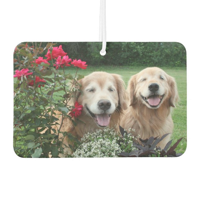Golden Retrievers Laughing Outdoor by Rose Autolufterfrischer (Vorderseite)