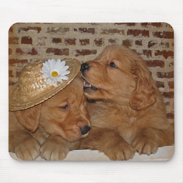Golden Retrievers Mousepad (Vorne)