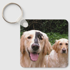 Golden Retrievers Peter Fox und Mama Schlüsselanhä Schlüsselanhänger
