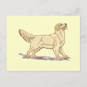 Golden Retrievers Postkarte